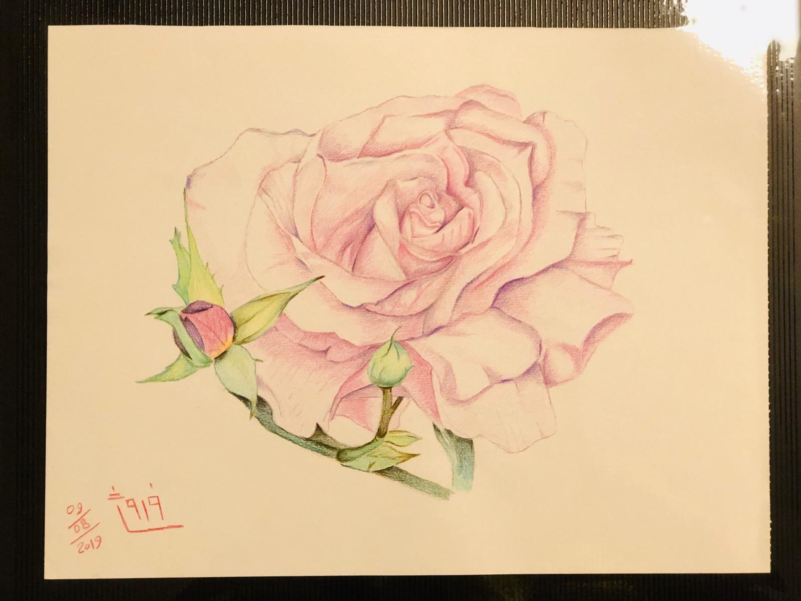 rose